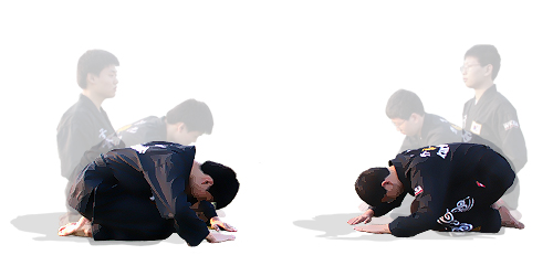 ter2.jpg